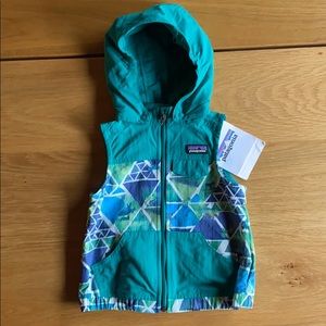 Patagonia Hoody Vest